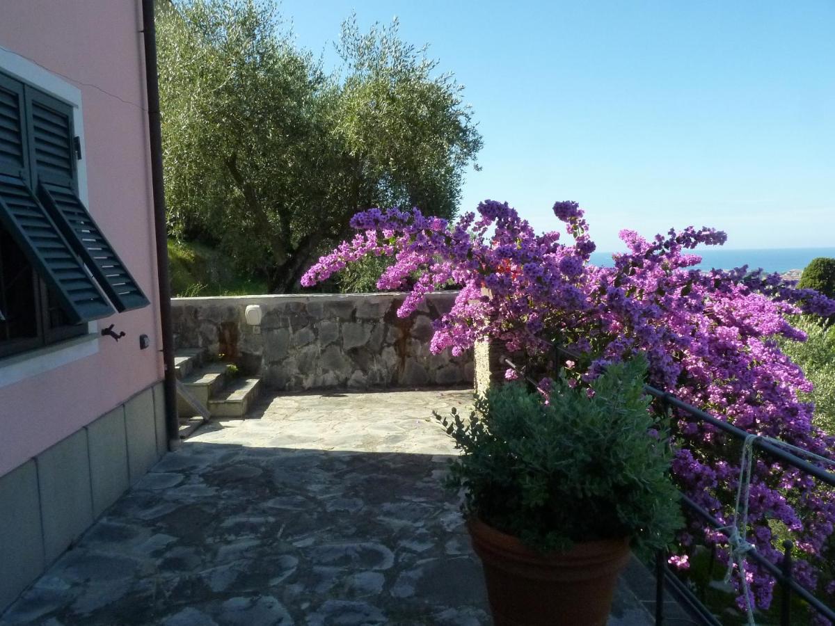 La Gatta Sul Sentiero Bed and Breakfast San Salvatore  Eksteriør billede