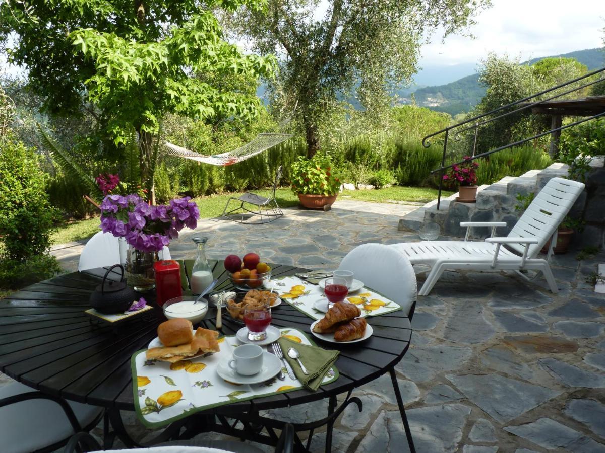 La Gatta Sul Sentiero Bed and Breakfast San Salvatore  Eksteriør billede