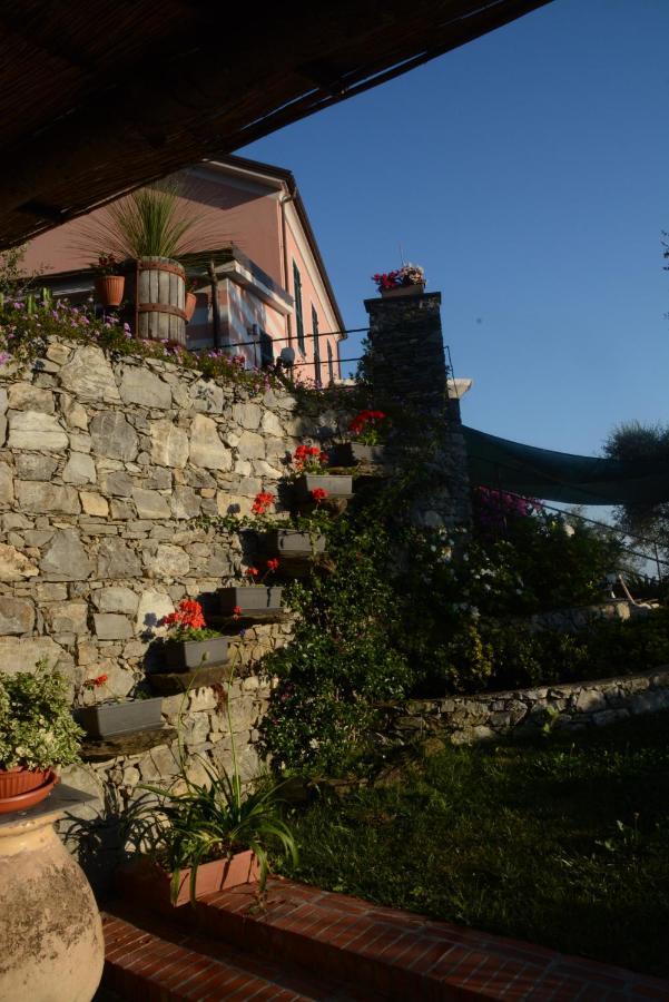 La Gatta Sul Sentiero Bed and Breakfast San Salvatore  Eksteriør billede